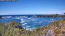 ./images/calvert/foggy-cove/20260516/foggy-cove20260516_141501M.jpg