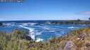 ./images/calvert/foggy-cove/20260516/foggy-cove20260516_142501M.jpg