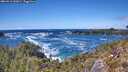 ./images/calvert/foggy-cove/20260516/foggy-cove20260516_143001M.jpg