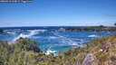 ./images/calvert/foggy-cove/20260516/foggy-cove20260516_144001M.jpg
