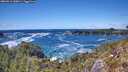 ./images/calvert/foggy-cove/20260516/foggy-cove20260516_145001M.jpg