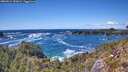 ./images/calvert/foggy-cove/20260516/foggy-cove20260516_151001M.jpg