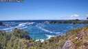 ./images/calvert/foggy-cove/20260516/foggy-cove20260516_151502M.jpg