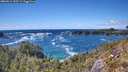 ./images/calvert/foggy-cove/20260516/foggy-cove20260516_153501M.jpg