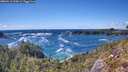 ./images/calvert/foggy-cove/20260516/foggy-cove20260516_155001M.jpg