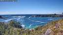 ./images/calvert/foggy-cove/20260516/foggy-cove20260516_161501M.jpg