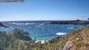 ./images/calvert/foggy-cove/20260516/foggy-cove20260516_172501M.jpg