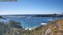 ./images/calvert/foggy-cove/20260516/foggy-cove20260516_174002M.jpg