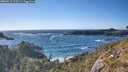 ./images/calvert/foggy-cove/20260516/foggy-cove20260516_175501M.jpg