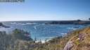 ./images/calvert/foggy-cove/20260516/foggy-cove20260516_181002M.jpg