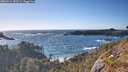 ./images/calvert/foggy-cove/20260516/foggy-cove20260516_183501M.jpg
