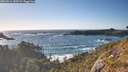 ./images/calvert/foggy-cove/20260516/foggy-cove20260516_185501M.jpg