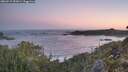 ./images/calvert/foggy-cove/20260517/foggy-cove20260517_052001M.jpg