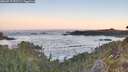 ./images/calvert/foggy-cove/20260517/foggy-cove20260517_055501M.jpg