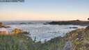 ./images/calvert/foggy-cove/20260517/foggy-cove20260517_060501M.jpg