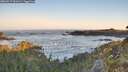 ./images/calvert/foggy-cove/20260517/foggy-cove20260517_061001M.jpg