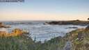 ./images/calvert/foggy-cove/20260517/foggy-cove20260517_061501M.jpg