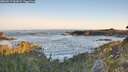 ./images/calvert/foggy-cove/20260517/foggy-cove20260517_062001M.jpg