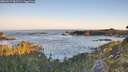 ./images/calvert/foggy-cove/20260517/foggy-cove20260517_062501M.jpg