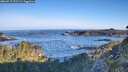 ./images/calvert/foggy-cove/20260517/foggy-cove20260517_071502M.jpg