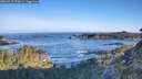 ./images/calvert/foggy-cove/20260517/foggy-cove20260517_072001M.jpg