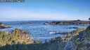 ./images/calvert/foggy-cove/20260517/foggy-cove20260517_073001M.jpg