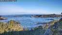 ./images/calvert/foggy-cove/20260517/foggy-cove20260517_073501M.jpg