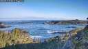 ./images/calvert/foggy-cove/20260517/foggy-cove20260517_074001M.jpg