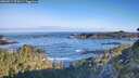 ./images/calvert/foggy-cove/20260517/foggy-cove20260517_074501M.jpg