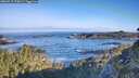 ./images/calvert/foggy-cove/20260517/foggy-cove20260517_075001M.jpg