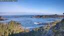 ./images/calvert/foggy-cove/20260517/foggy-cove20260517_075502M.jpg