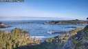 ./images/calvert/foggy-cove/20260517/foggy-cove20260517_080001M.jpg