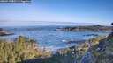./images/calvert/foggy-cove/20260517/foggy-cove20260517_080501M.jpg