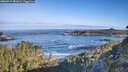 ./images/calvert/foggy-cove/20260517/foggy-cove20260517_081001M.jpg