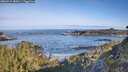 ./images/calvert/foggy-cove/20260517/foggy-cove20260517_082001M.jpg