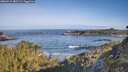 ./images/calvert/foggy-cove/20260517/foggy-cove20260517_082502M.jpg