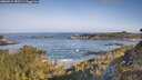 ./images/calvert/foggy-cove/20260517/foggy-cove20260517_083501M.jpg