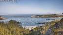 ./images/calvert/foggy-cove/20260517/foggy-cove20260517_084501M.jpg