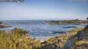 ./images/calvert/foggy-cove/20260517/foggy-cove20260517_085001M.jpg