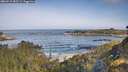 ./images/calvert/foggy-cove/20260517/foggy-cove20260517_085501M.jpg