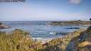 ./images/calvert/foggy-cove/20260517/foggy-cove20260517_090001M.jpg