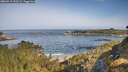 ./images/calvert/foggy-cove/20260517/foggy-cove20260517_090501M.jpg
