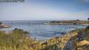 ./images/calvert/foggy-cove/20260517/foggy-cove20260517_091001M.jpg