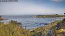 ./images/calvert/foggy-cove/20260517/foggy-cove20260517_091501M.jpg