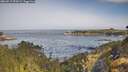 ./images/calvert/foggy-cove/20260517/foggy-cove20260517_092001M.jpg