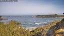 ./images/calvert/foggy-cove/20260517/foggy-cove20260517_093001M.jpg