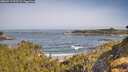 ./images/calvert/foggy-cove/20260517/foggy-cove20260517_093502M.jpg
