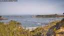 ./images/calvert/foggy-cove/20260517/foggy-cove20260517_094501M.jpg