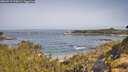 ./images/calvert/foggy-cove/20260517/foggy-cove20260517_095001M.jpg