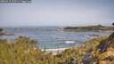 ./images/calvert/foggy-cove/20260517/foggy-cove20260517_095501M.jpg
